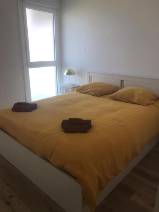 Superbe Appartement Arcachon La Teste-de-Buch Dış mekan fotoğraf